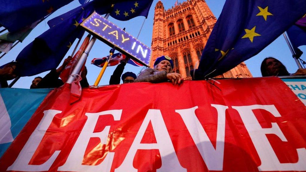 Remain and Leave supporters outside Parliament