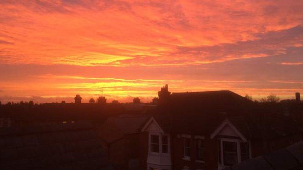 BBC Local Live Beds, Herts & Bucks on Tuesday, 26 January 2016. BBC News