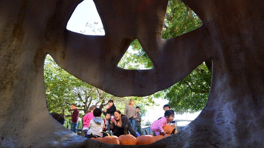 Parents and children at a pumpkin patch.