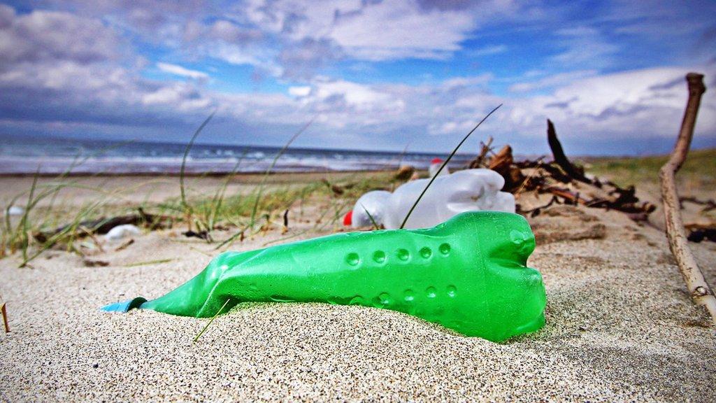 Plastic bottle on the beach