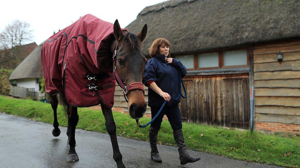 Coneygree