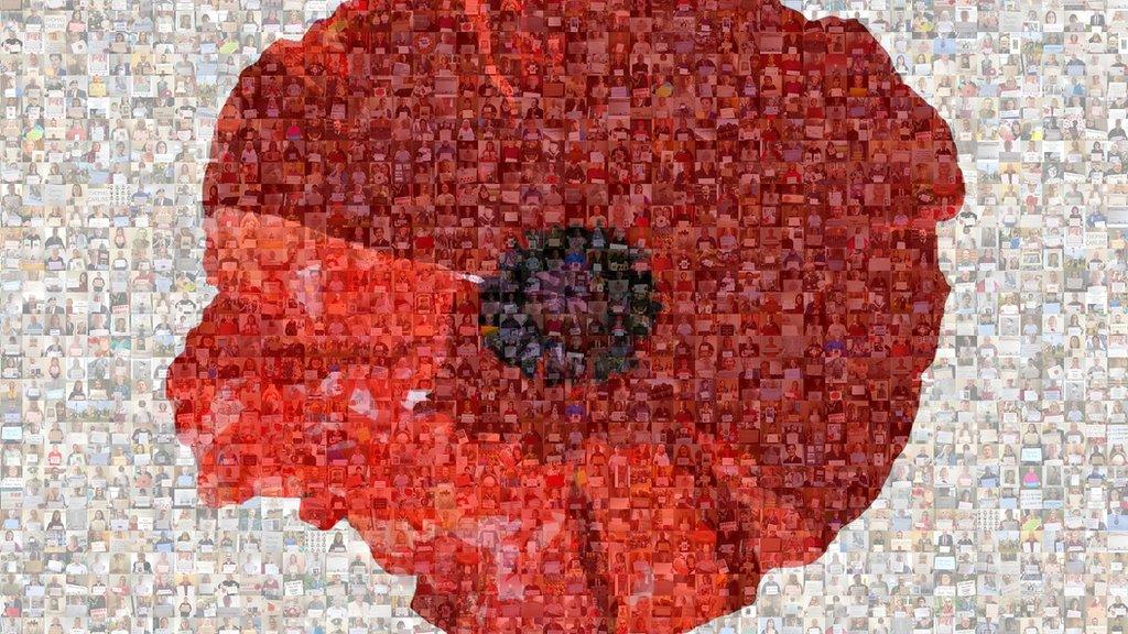 Poppy mosaic