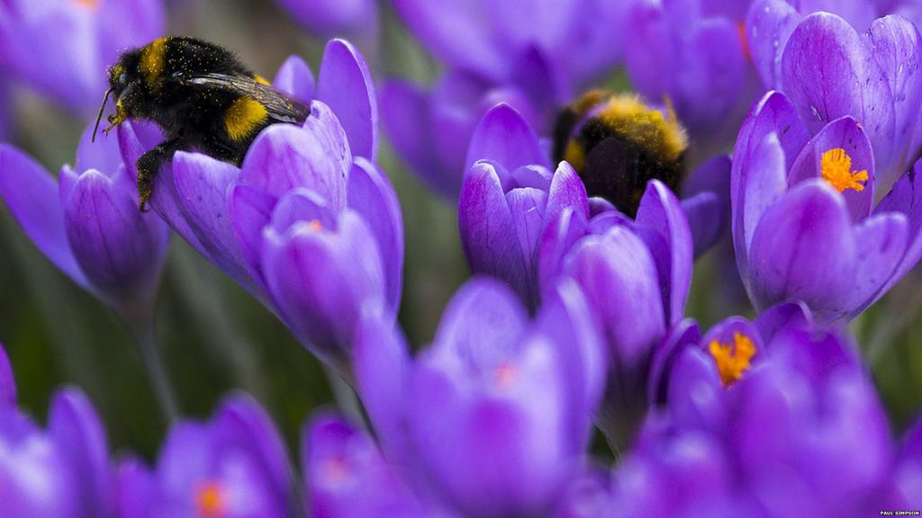 BBC Local Live Nottinghamshire on Tuesday 6 October BBC News