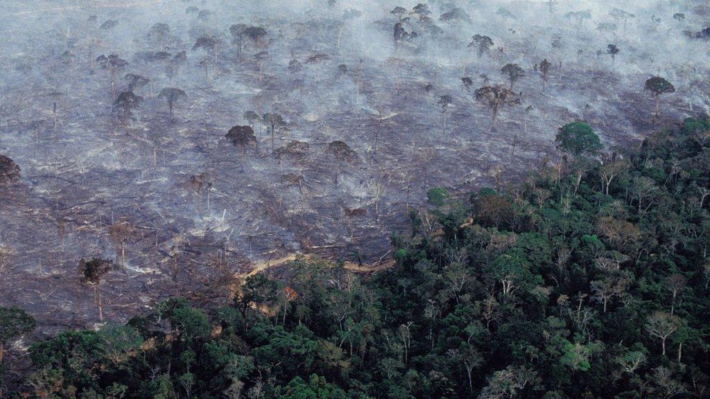 forest-fires-amazon.