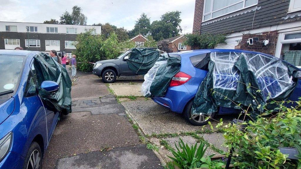 Damaged caused by a storm in Cherry Croft, Littlehampton