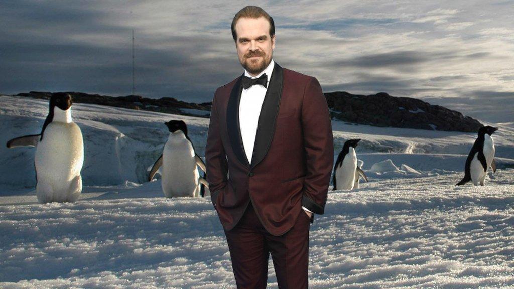 Photoshopped image of David Harbour and penguins