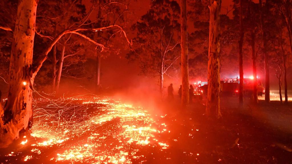 Australia forest fire