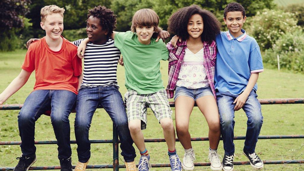 Kids on a fence