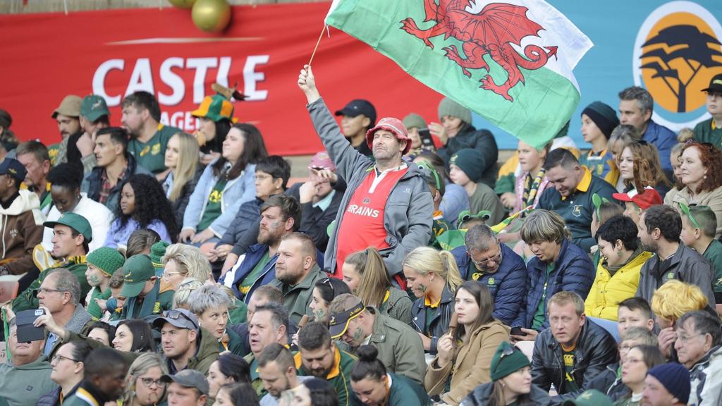 Wales fan in South Africa