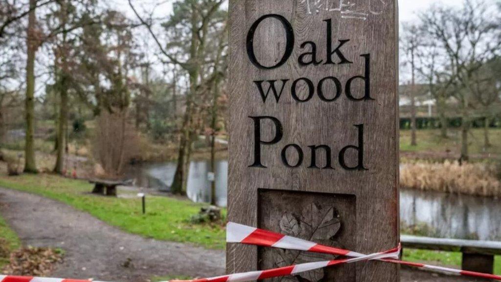 Oakwood Pond, Harlow