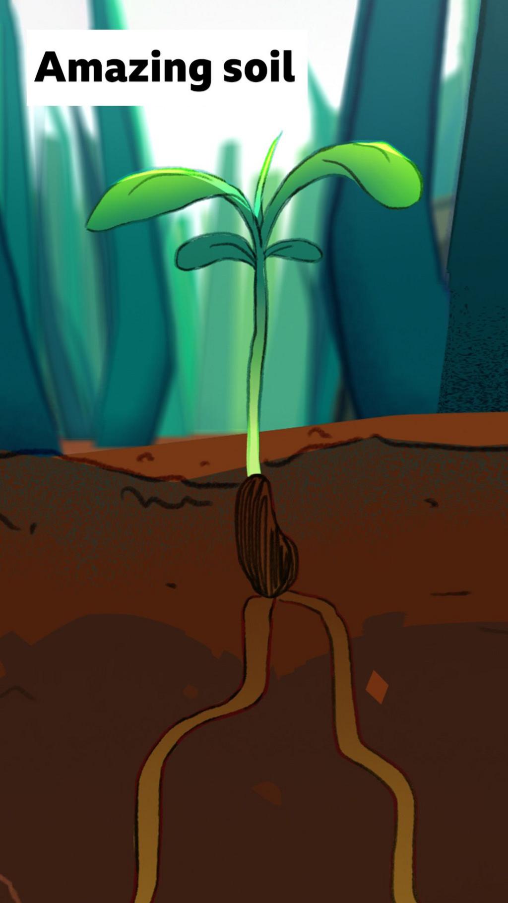 An illustration of a plant with its roots in soil