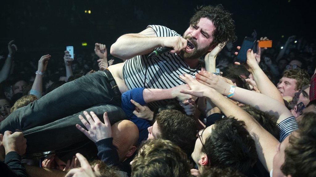 Foals