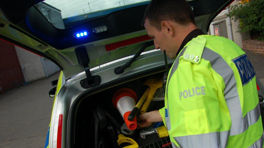 Police officer and vehicle