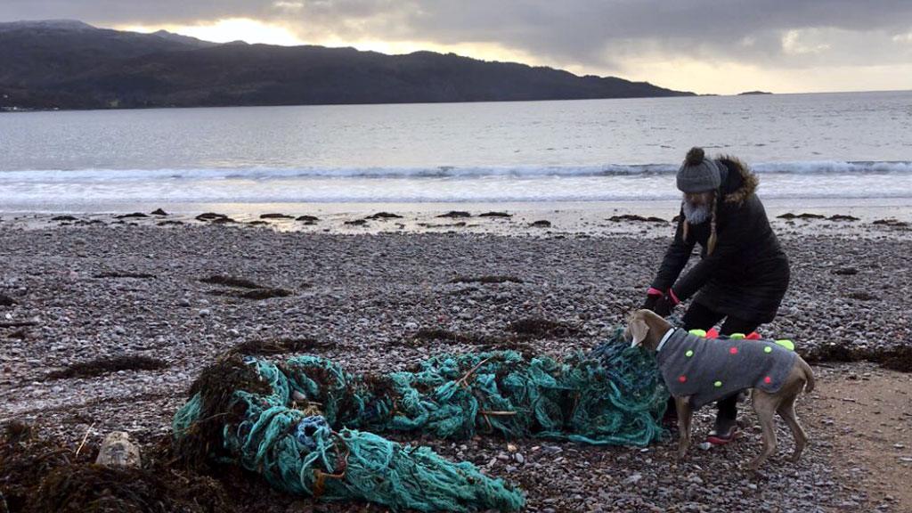 Beach clean at Glenelg