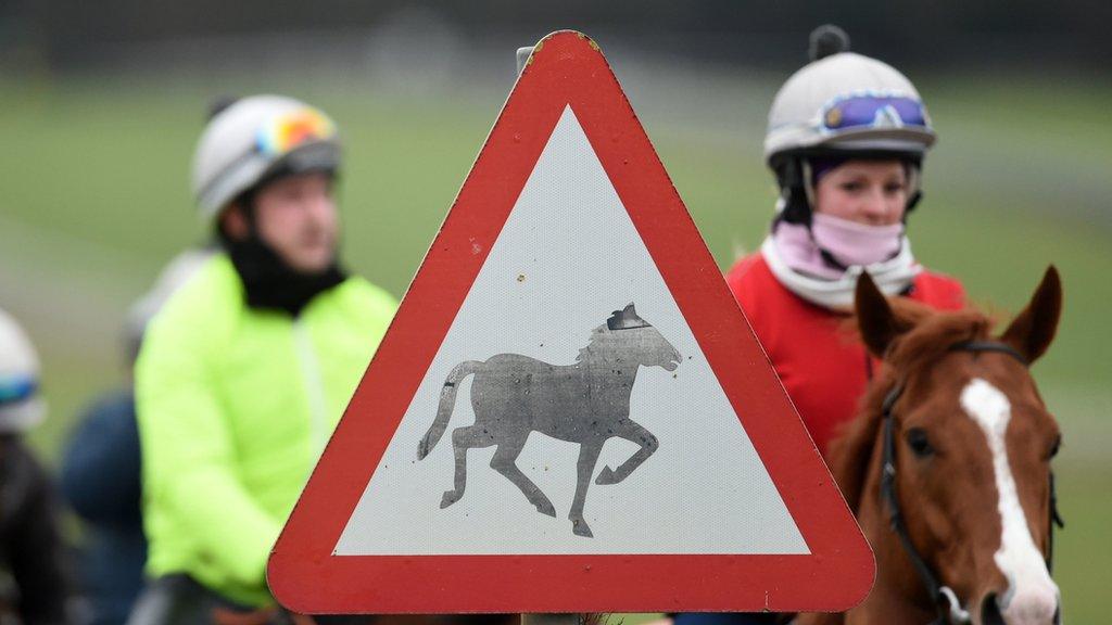 A horse sign at Newmarket