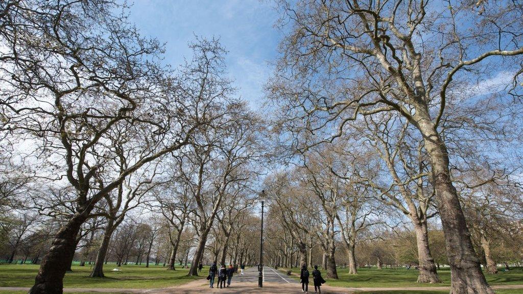 People walk in Hyde Park on a warm sunny day