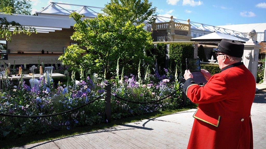 A Chelsea Pensioner takes a photo of one of the show gardens