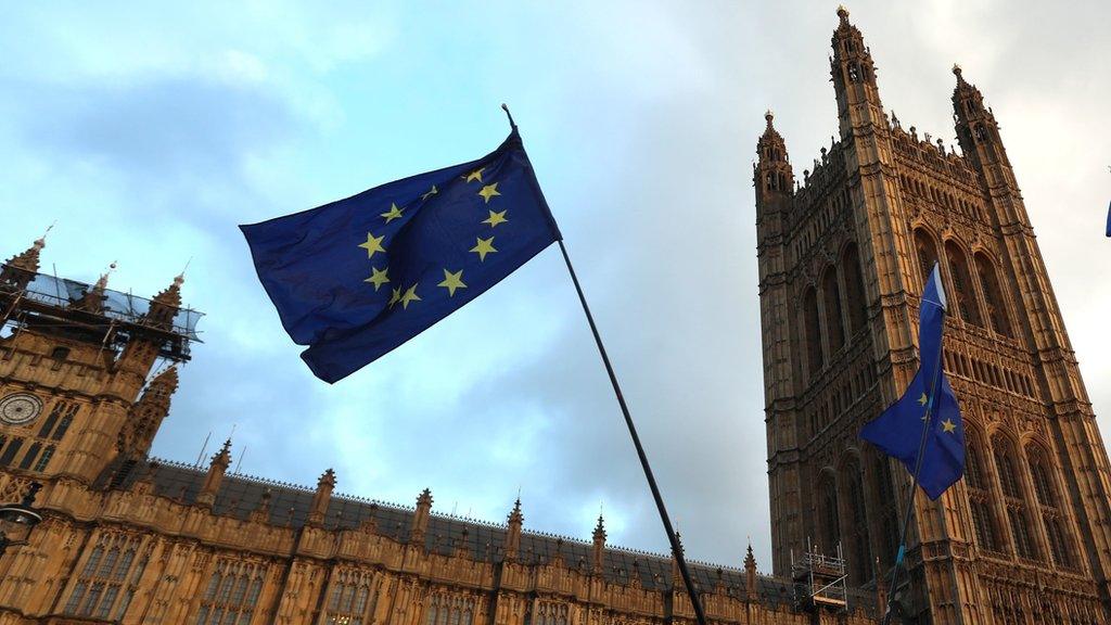 EU flag outside Parliament