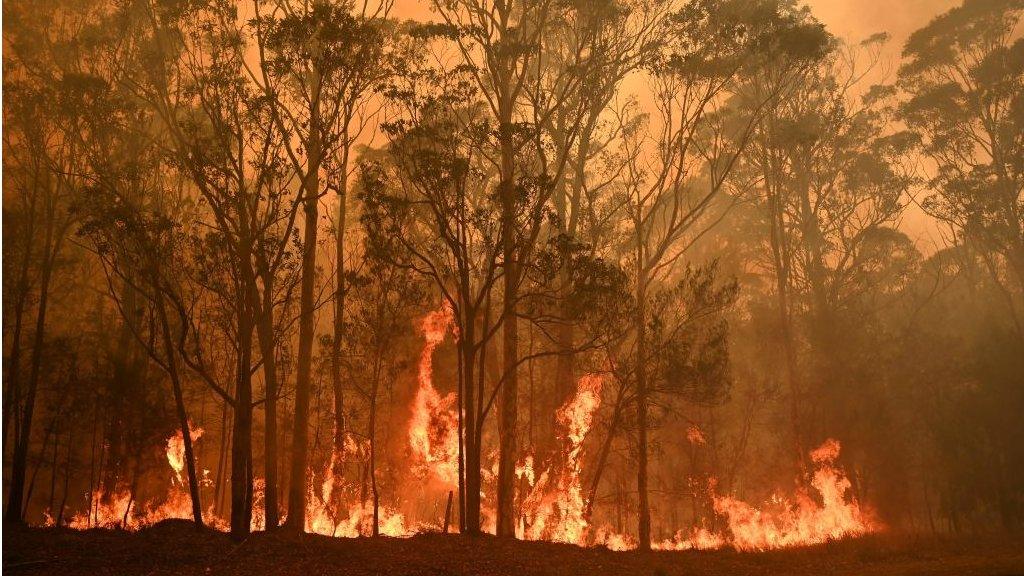 australia-fires-burning.