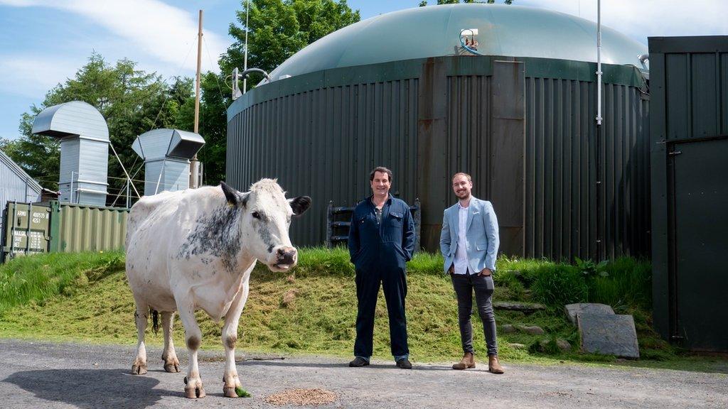 cow and farmer in front of AD plant