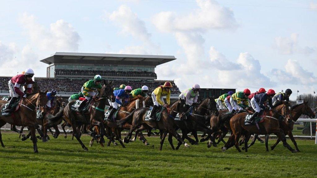 A maximum of 40 runners will line up for the Grand National at Aintree