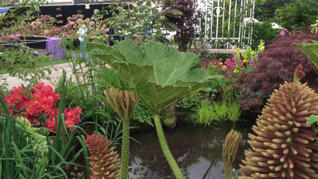 Cholmondeley Castle entry at RHS Chelsea