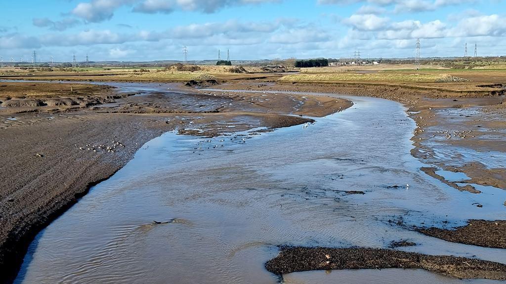 The main channel of Greatham Creek looking upstream from the bridge on Tees Road (A178). The mudflats support plentiful bird life.