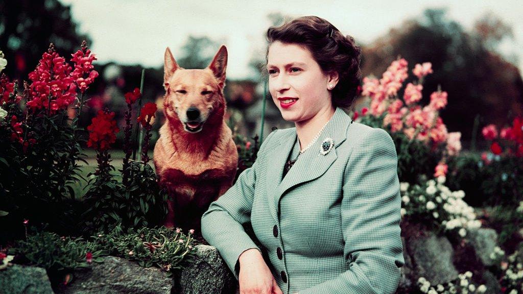 Queen with a corgi.