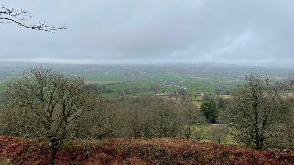 Hillfort