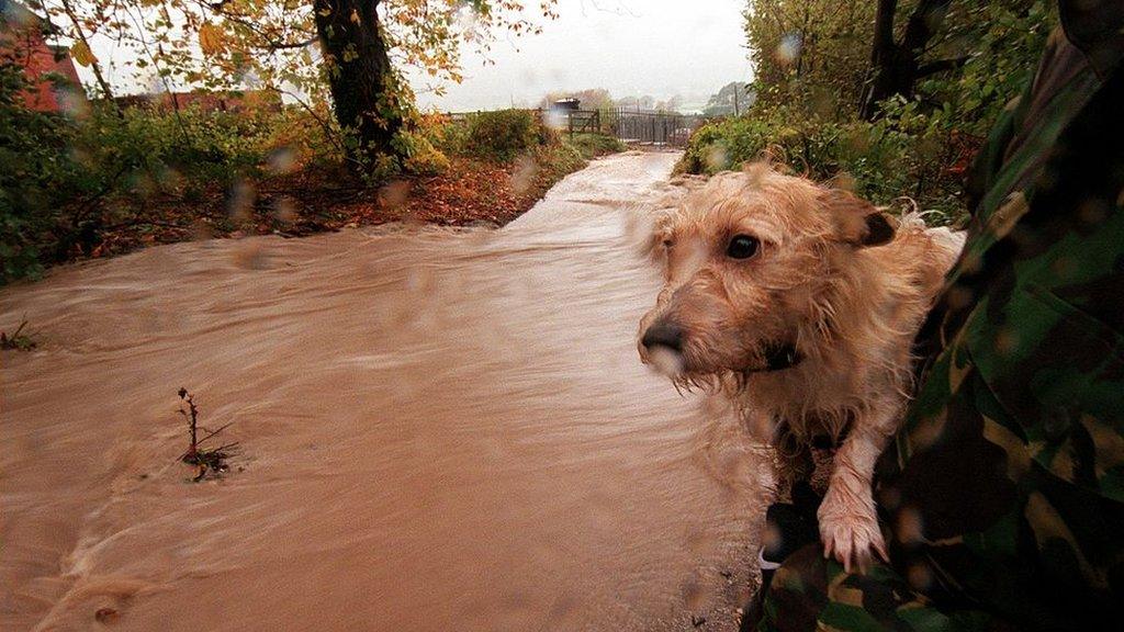 wettest-year-on-record