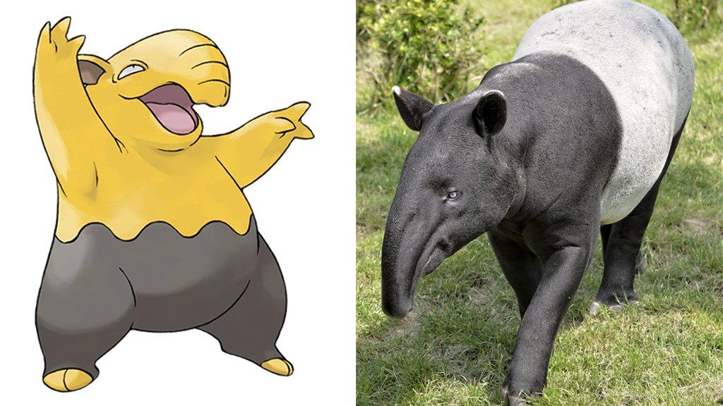 drowzee-malayan-tapir.