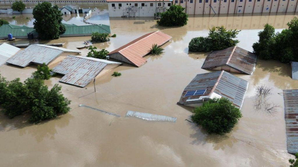 Buildings and trees submerged in brown water. Only the roofs of the buildings and tops of the trees are visible.