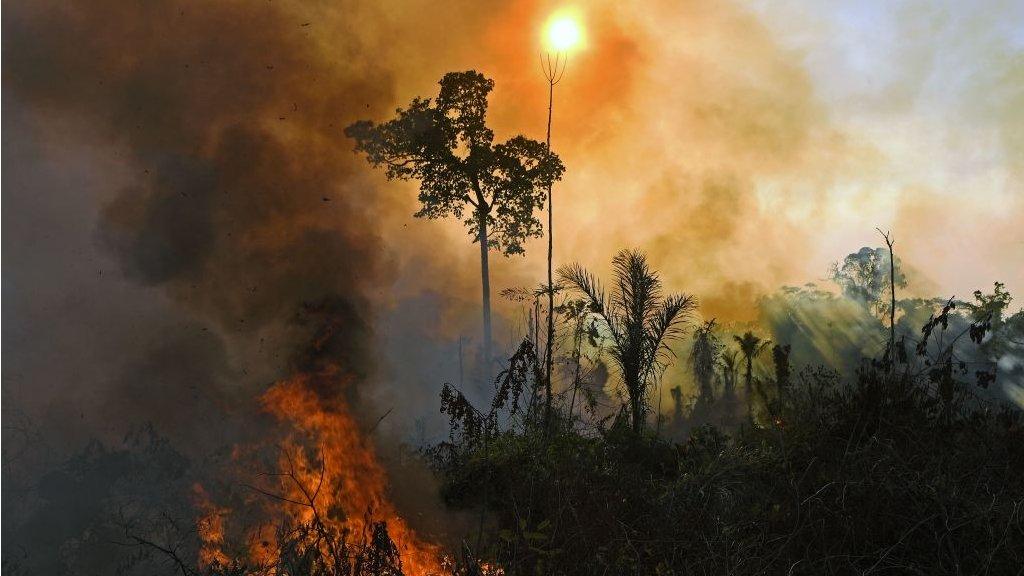 A fire in the Amazon