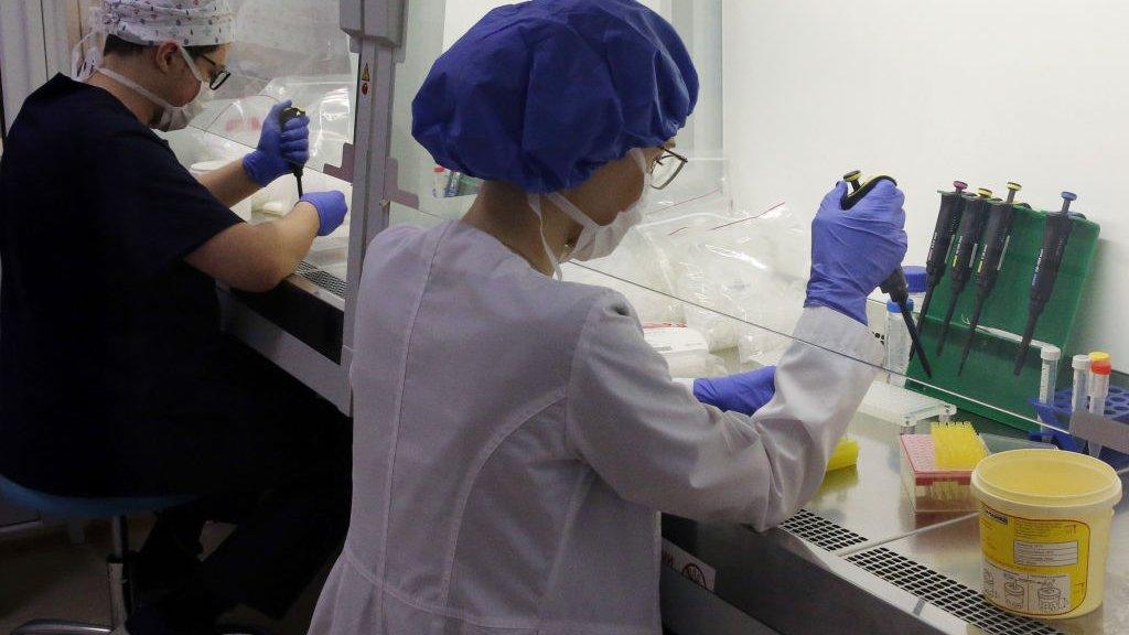 Employees working in a lab