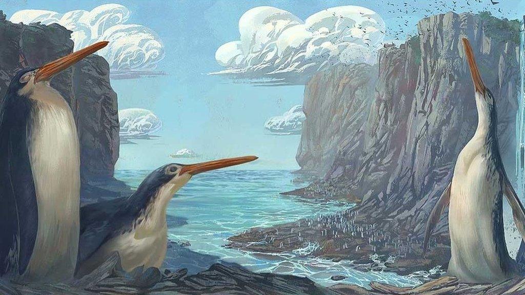 A giant fossilised penguin artwork