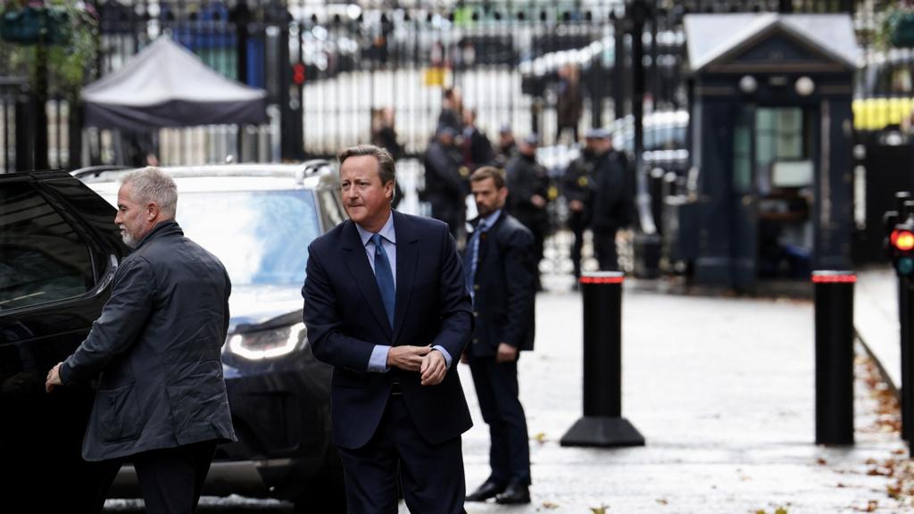 David Cameron in Downing Street