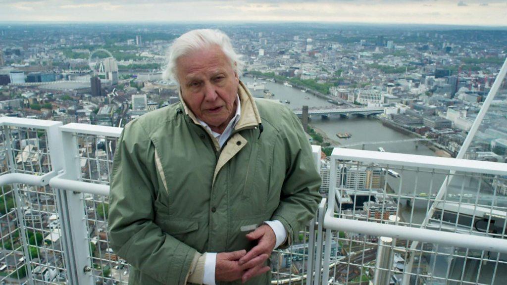 David Attenborough