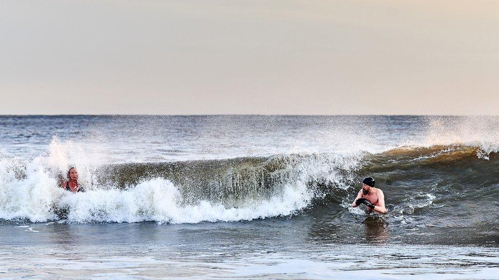 Sea swimmers