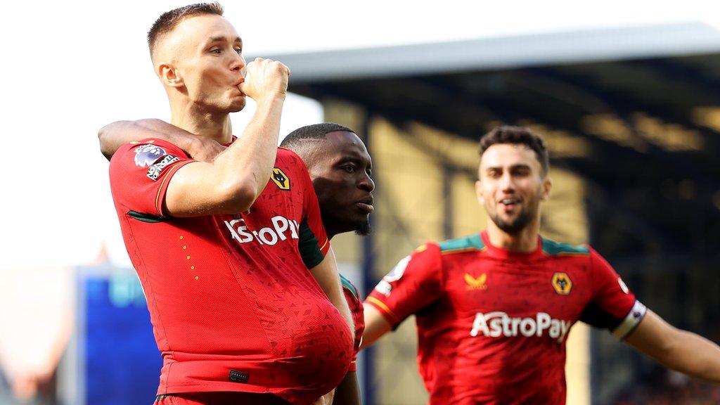 Wolves striker Sasa Kalajdzic celebrates scoring against Everton in the Premier League