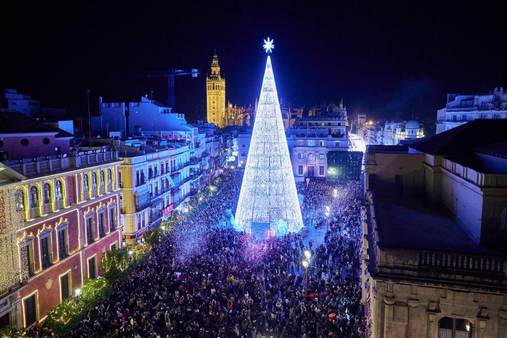 Seville digital tree