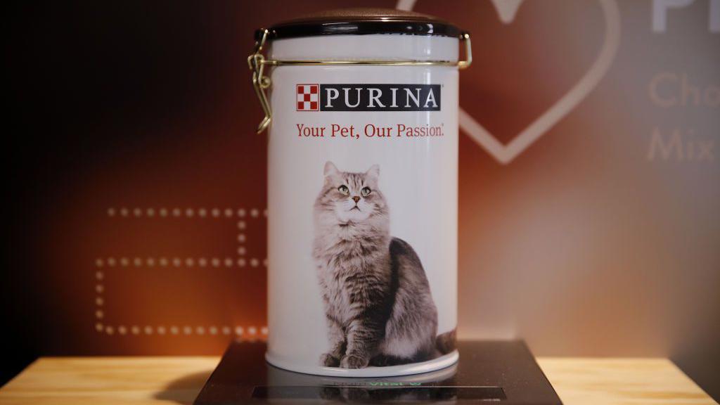 A reusable pet food container with the Purina branding at the top and a photo of a long haired cat on it.