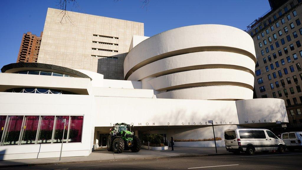 guggenheim-museum.