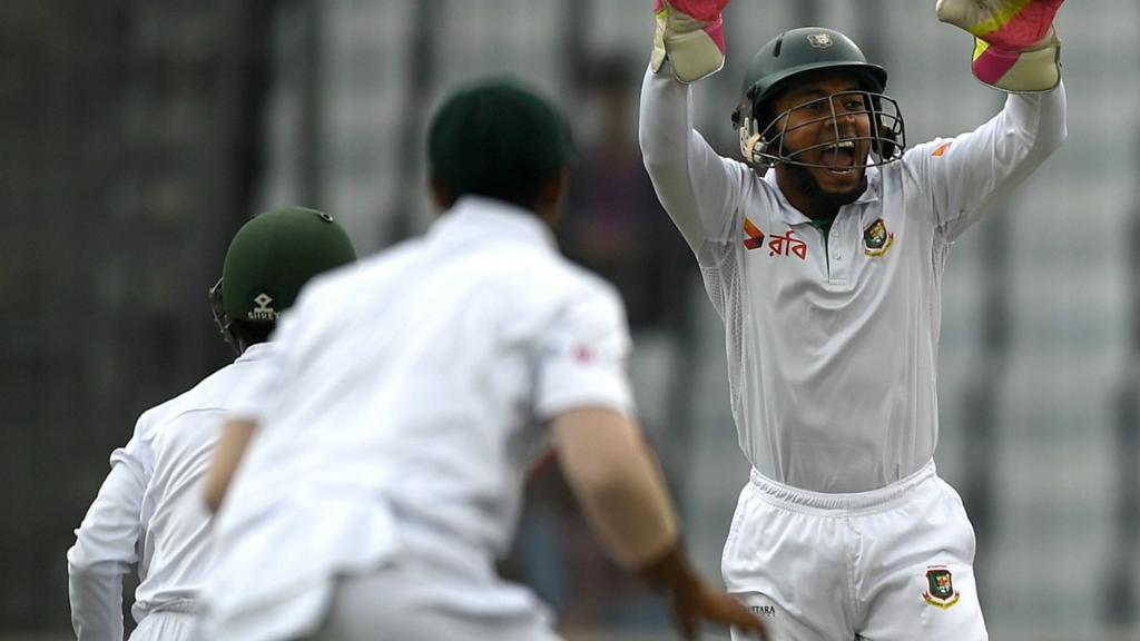 Mushfiqur Rahim celebrates