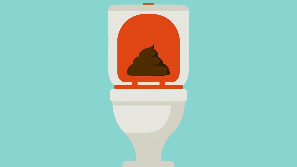 Image of a toilet with a poo on it