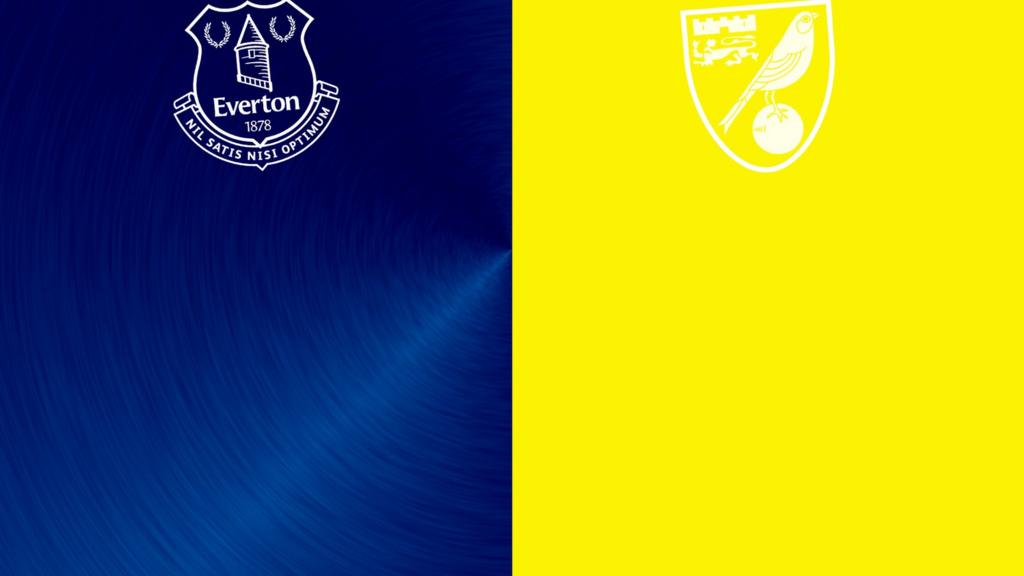 Everton v Norwich badges