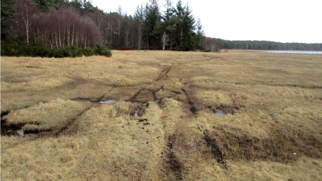 Damage to Loch Fleet reserve