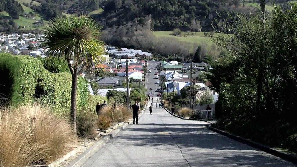 Baldwin Street, Dunedin