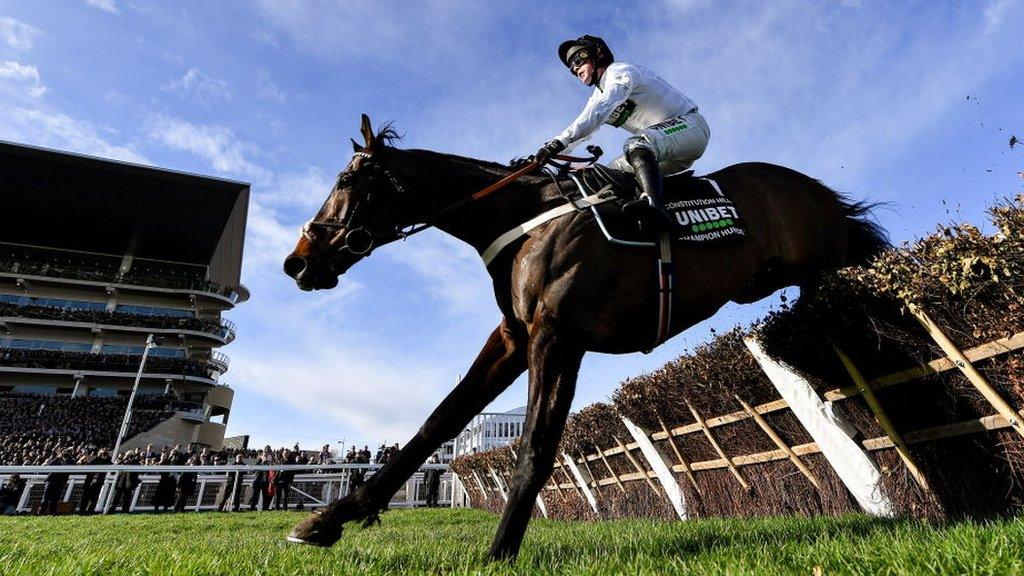 Constitution Hill won the Champion Hurdle at Cheltenham