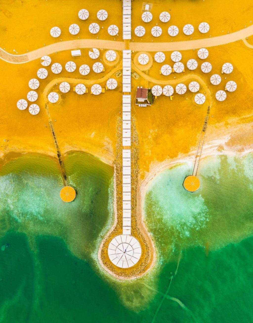 parasols at the dead sea