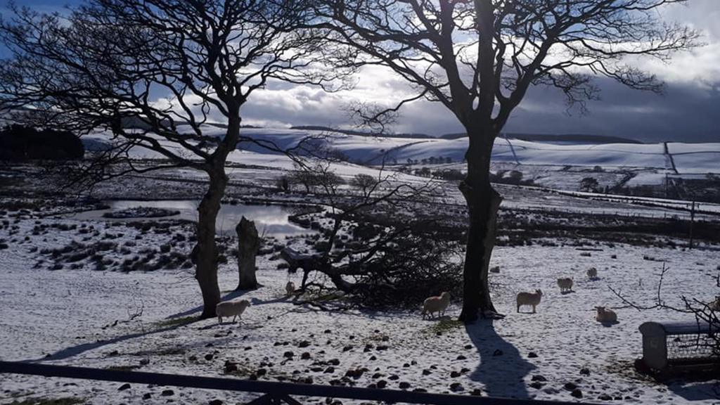 Snow covered Bontgoch near Aberystwyth